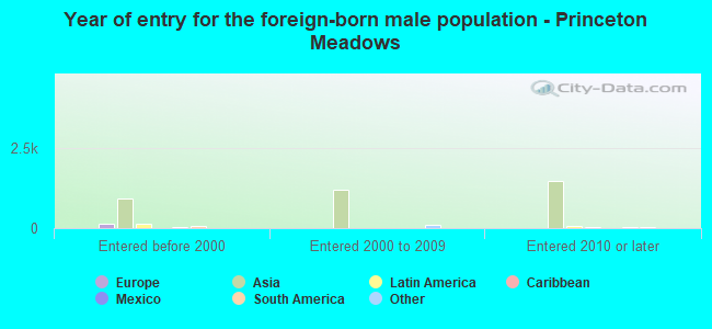 Year of entry for the foreign-born male population - Princeton Meadows