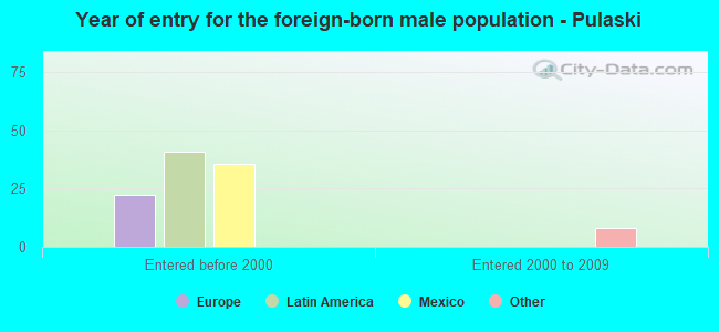 Year of entry for the foreign-born male population - Pulaski