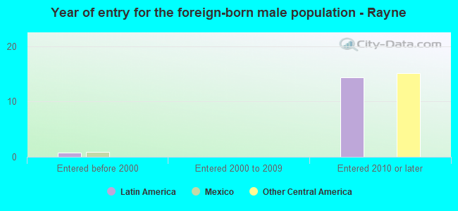 Year of entry for the foreign-born male population - Rayne