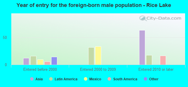 Year of entry for the foreign-born male population - Rice Lake