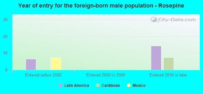 Year of entry for the foreign-born male population - Rosepine