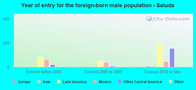 Year of entry for the foreign-born male population - Saluda