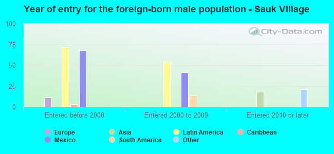 Year of entry for the foreign-born male population - Sauk Village