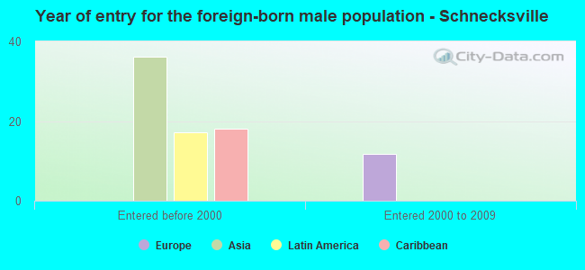 Year of entry for the foreign-born male population - Schnecksville