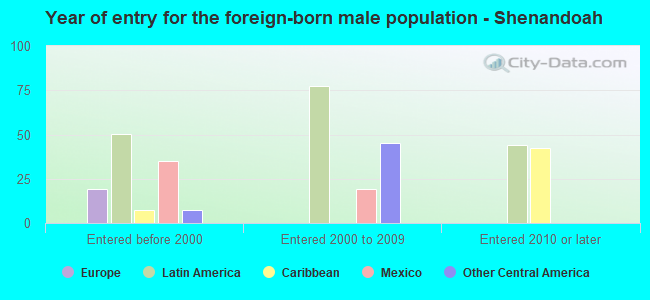 Year of entry for the foreign-born male population - Shenandoah