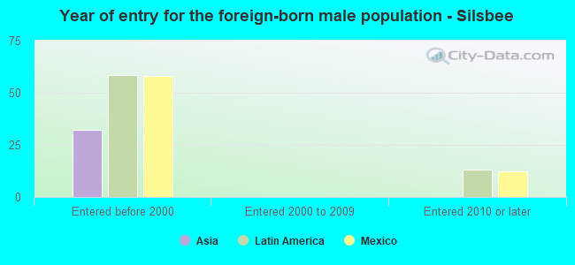 Year of entry for the foreign-born male population - Silsbee