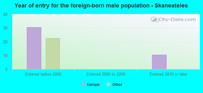 Year of entry for the foreign-born male population - Skaneateles