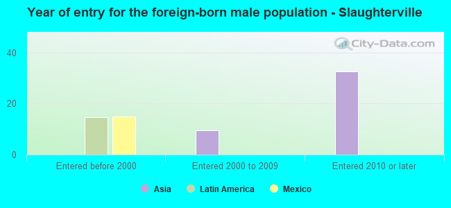 Year of entry for the foreign-born male population - Slaughterville