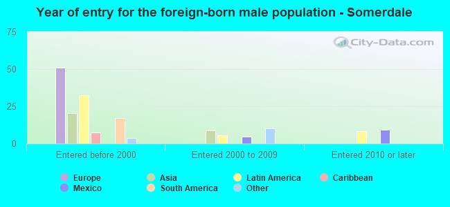 Year of entry for the foreign-born male population - Somerdale