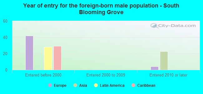 Year of entry for the foreign-born male population - South Blooming Grove
