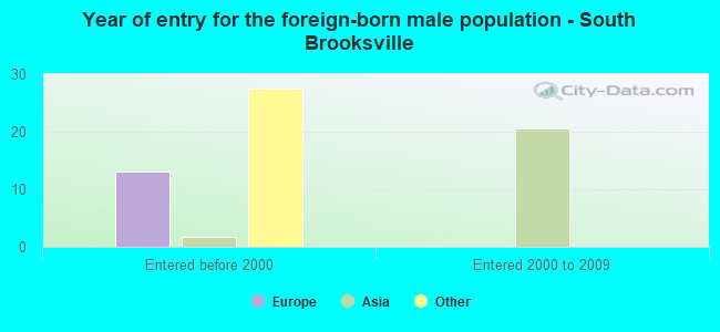 Year of entry for the foreign-born male population - South Brooksville