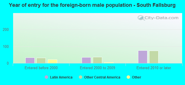 Year of entry for the foreign-born male population - South Fallsburg
