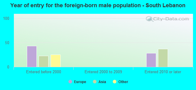 Year of entry for the foreign-born male population - South Lebanon