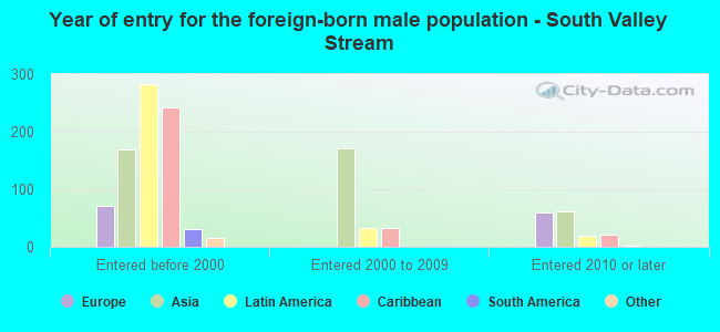 Year of entry for the foreign-born male population - South Valley Stream