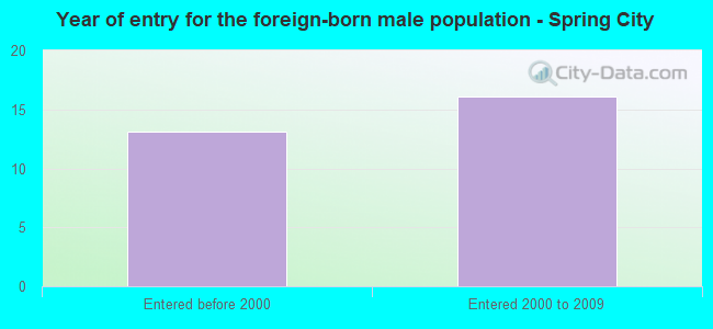 Year of entry for the foreign-born male population - Spring City