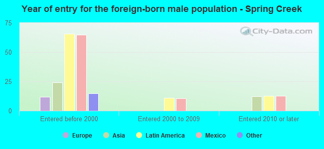 Year of entry for the foreign-born male population - Spring Creek