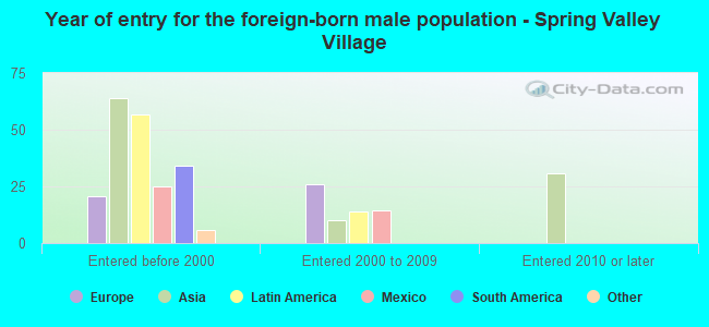 Year of entry for the foreign-born male population - Spring Valley Village