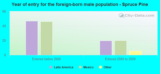 Year of entry for the foreign-born male population - Spruce Pine