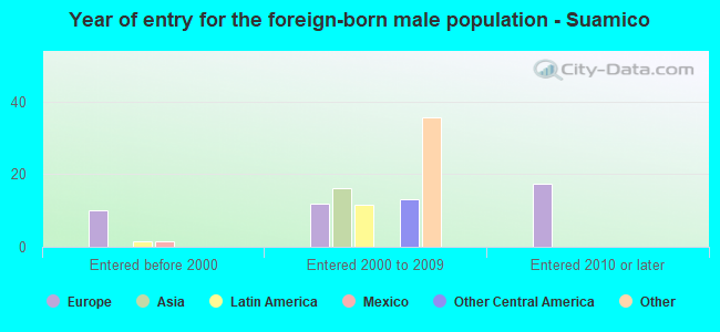 Year of entry for the foreign-born male population - Suamico