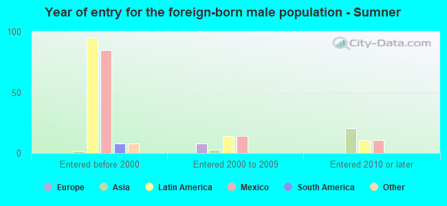 Year of entry for the foreign-born male population - Sumner