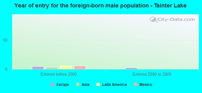 Year of entry for the foreign-born male population - Tainter Lake