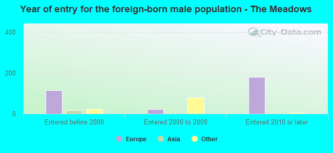 Year of entry for the foreign-born male population - The Meadows