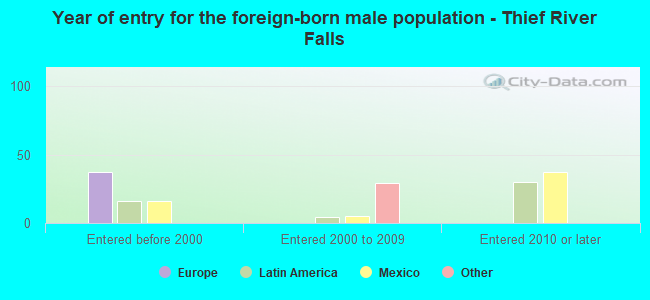 Year of entry for the foreign-born male population - Thief River Falls
