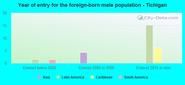Year of entry for the foreign-born male population - Tichigan