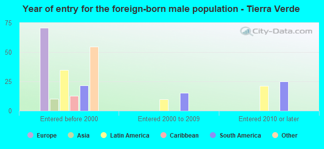 Year of entry for the foreign-born male population - Tierra Verde