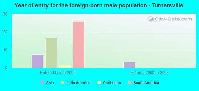 Year of entry for the foreign-born male population - Turnersville
