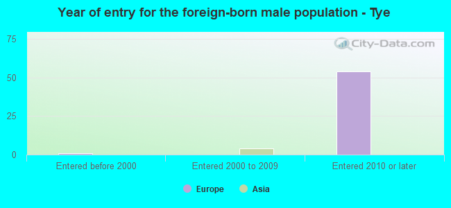 Year of entry for the foreign-born male population - Tye