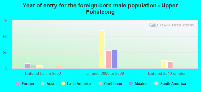 Year of entry for the foreign-born male population - Upper Pohatcong