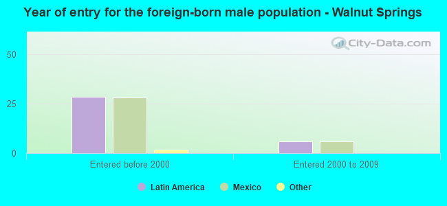 Year of entry for the foreign-born male population - Walnut Springs