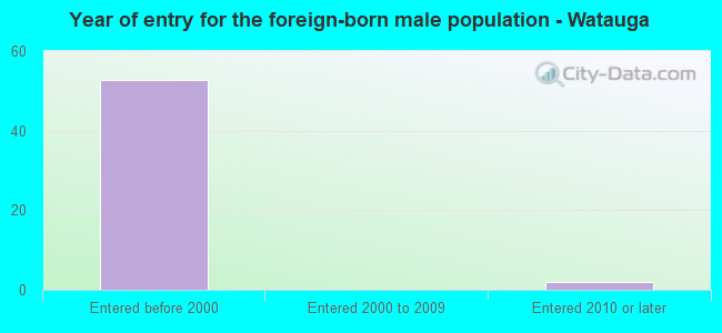 Year of entry for the foreign-born male population - Watauga