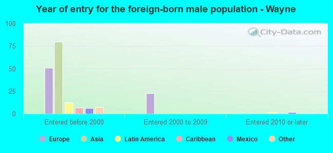 Year of entry for the foreign-born male population - Wayne