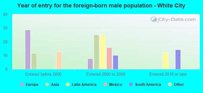 Year of entry for the foreign-born male population - White City
