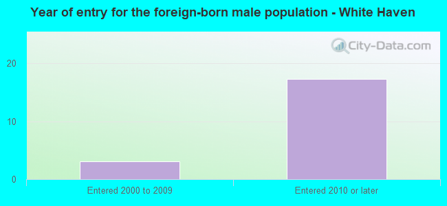 Year of entry for the foreign-born male population - White Haven