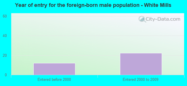 Year of entry for the foreign-born male population - White Mills