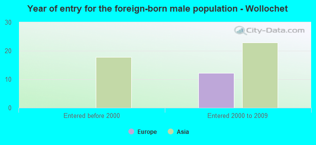 Year of entry for the foreign-born male population - Wollochet