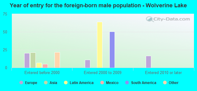 Year of entry for the foreign-born male population - Wolverine Lake