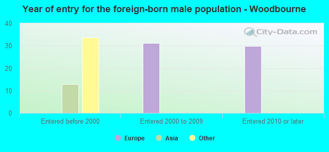 Year of entry for the foreign-born male population - Woodbourne