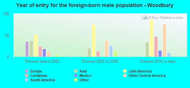Year of entry for the foreign-born male population - Woodbury