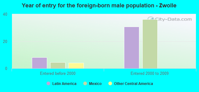 Year of entry for the foreign-born male population - Zwolle