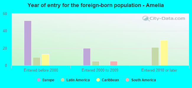 Year of entry for the foreign-born population - Amelia