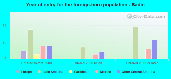 Year of entry for the foreign-born population - Badin