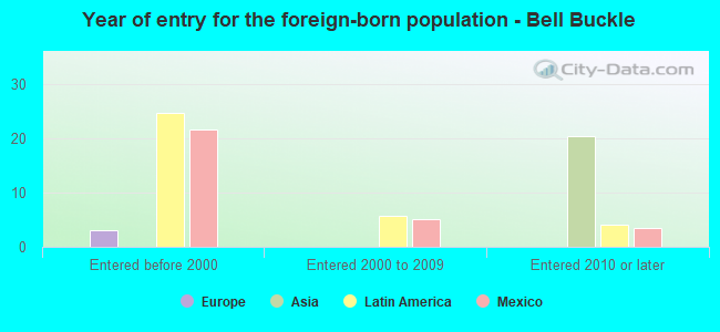 Year of entry for the foreign-born population - Bell Buckle