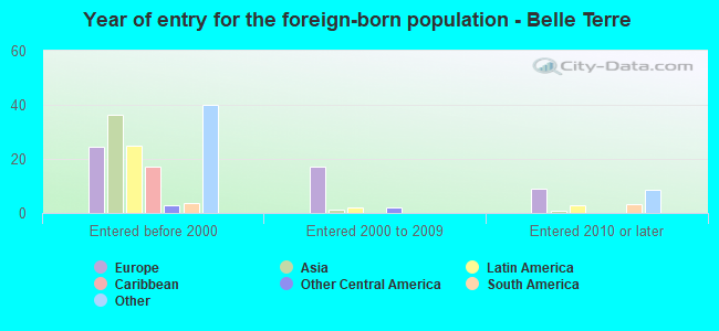 Year of entry for the foreign-born population - Belle Terre