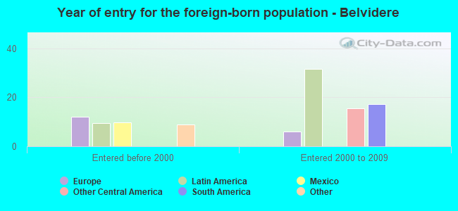 Year of entry for the foreign-born population - Belvidere