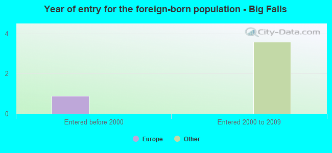 Year of entry for the foreign-born population - Big Falls