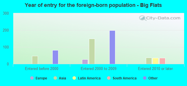 Year of entry for the foreign-born population - Big Flats